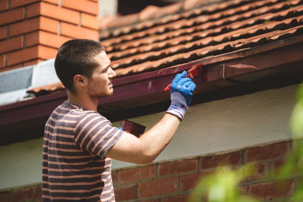 Exterior Gutter Painting
