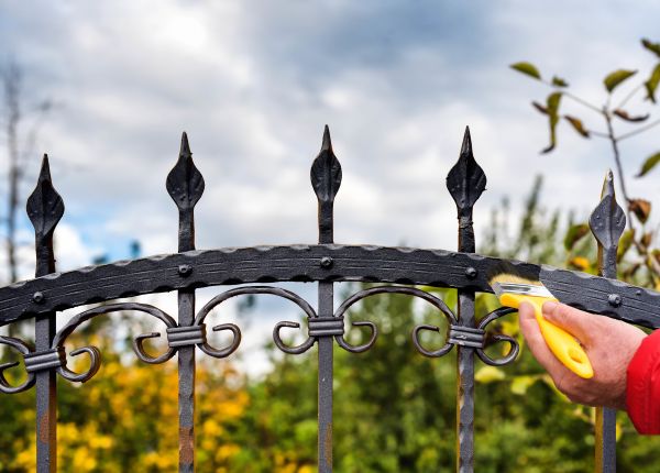 Gate Painting