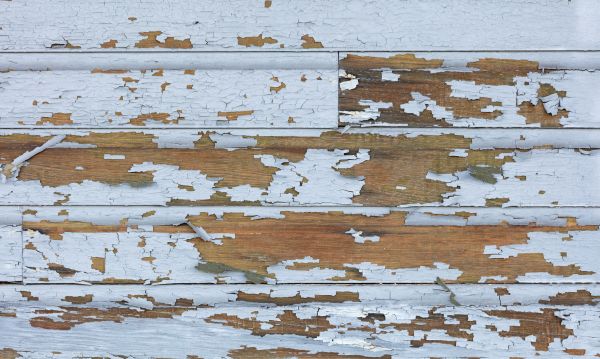 Lead Paint Treatment
