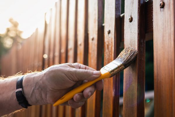 Backyard Fence Staining