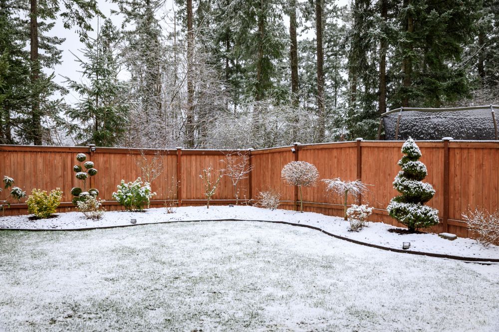 Wood Fence Replacement